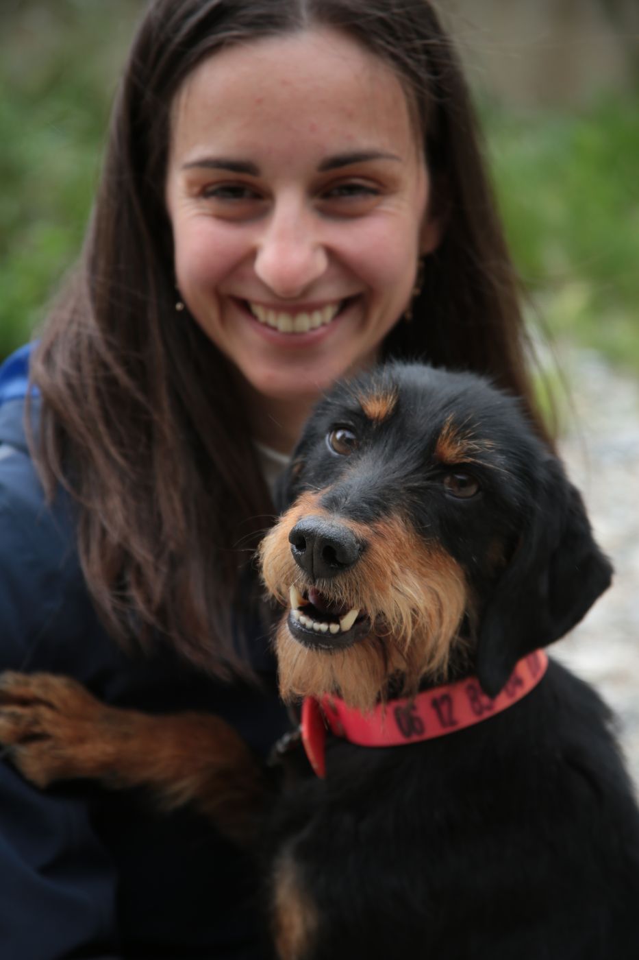 Séance d'éducation avec un chien