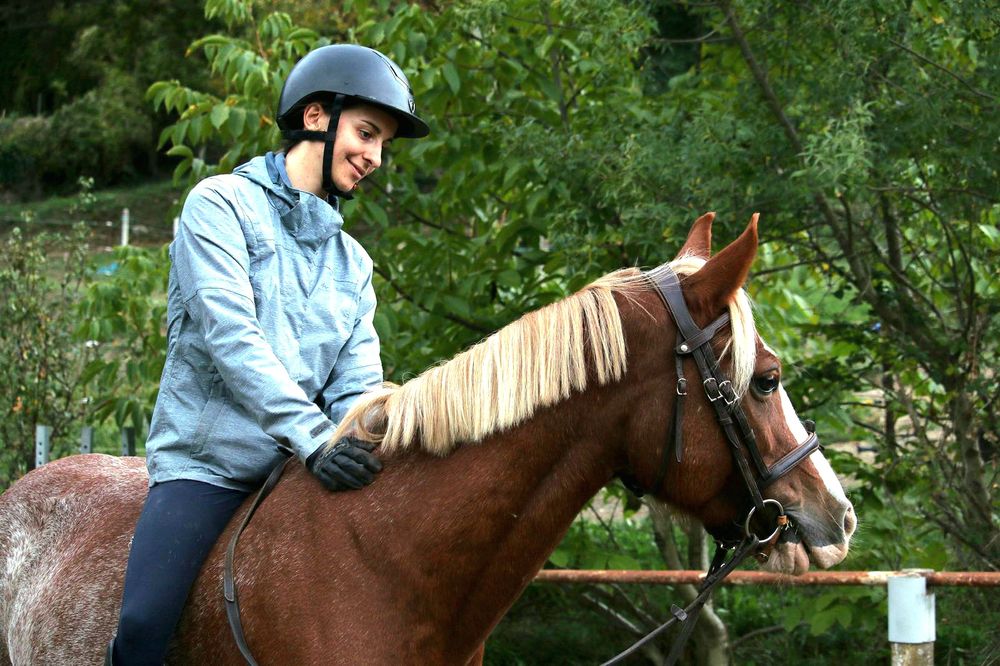 Cours d'équitation, travail monté